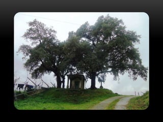 Capelinha dos milagres