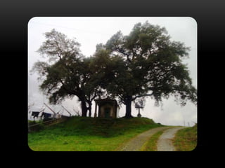 Capelinha dos milagres