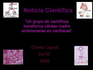 Noticia Científica “ Un grupo de científicos transforma células madre embrionarias en cardíacas” Ornella Capelli 2do”B” 2008 