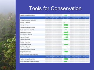 Tools for Conservation
 