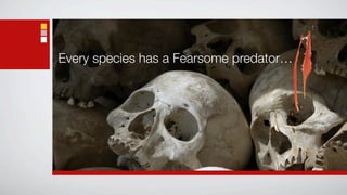 Every species has a Fearsome predator…
 