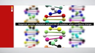 Epigensis permits adaptation without risk of mutation, when conditions change.
 