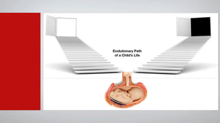 Evolutionary Path
 of a Child’s Life
 
