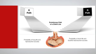 K                                                                         R
    Path                                                                      Path



                               Evolutionary Path
                                of a Child’s Life




                                                     Probability of short-life and
Probability of long-life and                        doubtful reproductive success
  reproductive success
 
