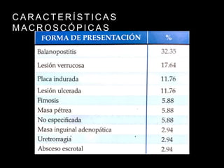 C A R A C T E R Í S T I C A S
M A C R O S C Ó P I C A S
 