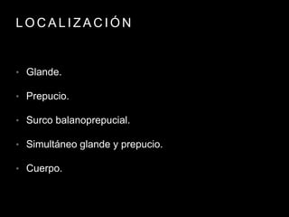 L O C A L I Z A C I Ó N
• Glande.
• Prepucio.
• Surco balanoprepucial.
• Simultáneo glande y prepucio.
• Cuerpo.
 