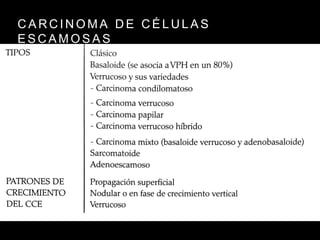 C A R C I N O M A D E C É L U L A S
E S C A M O S A S
 