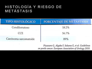 H I S T O L O G Í A Y R I E S G O D E
M E T Á S T A S I S
 