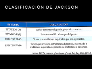 C L A S I F I C A C I Ó N D E J A C K S O N
 