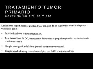 T R A T A M I E N T O T U M O R
P R I M A R I O
C A T E G O R Í A S T I S , T A Y T 1 A
 