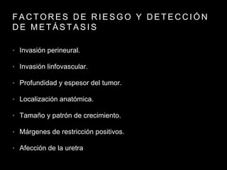 F A C T O R E S D E R I E S G O Y D E T E C C I Ó N
D E M E T Á S T A S I S
• Invasión perineural.
• Invasión linfovascular.
• Profundidad y espesor del tumor.
• Localización anatómica.
• Tamaño y patrón de crecimiento.
• Márgenes de restricción positivos.
• Afección de la uretra
 