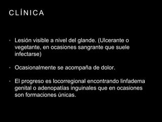 C L Í N I C A
• Lesión visible a nivel del glande. (Ulcerante o
vegetante, en ocasiones sangrante que suele
infectarse)
• Ocasionalmente se acompaña de dolor.
• El progreso es locorregional encontrando linfadema
genital o adenopatías inguinales que en ocasiones
son formaciones únicas.
 