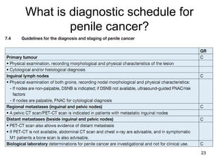 23
What is diagnostic schedule for
penile cancer?
 