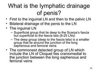34
What is the lymphatic drainage
of penis?
• First to the inguinal LN and then to the pelvic LN
• Bilateral drainage of the penis to the LN
• The inguinal LN
– Superficial group that lie deep to the Scarpa’s fascia
but superficial to the fascia lata (8-25 LNs)
– The deep group (deep to the fascia lata) is a smaller
group that lie around the junction of the long
saphenous and femoral veins
• The commonest detected group of LN which
include the LN of Cloquet lies craniomedial to
the junction between the long saphenous and
femoral veins
 