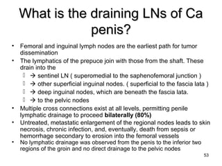 53
What is the draining LNs of CaWhat is the draining LNs of Ca
penis?penis?
• Femoral and inguinal lymph nodes are the earliest path for tumor
dissemination
• The lymphatics of the prepuce join with those from the shaft. These
drain into the
  sentinel LN ( superomedial to the saphenofemoral junction )
  other superficial inguinal nodes. ( superficial to the fascia lata )
  deep inguinal nodes, which are beneath the fascia lata.
  to the pelvic nodes
• Multiple cross connections exist at all levels, permitting penile
lymphatic drainage to proceed bilaterally (80%)
• Untreated, metastatic enlargement of the regional nodes leads to skin
necrosis, chronic infection, and, eventually, death from sepsis or
hemorrhage secondary to erosion into the femoral vessels
• No lymphatic drainage was observed from the penis to the inferior two
regions of the groin and no direct drainage to the pelvic nodes
 