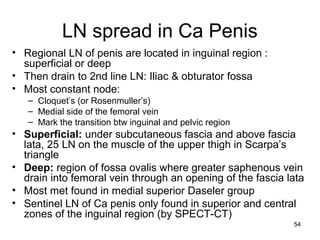 54
LN spread in Ca Penis
• Regional LN of penis are located in inguinal region :
superficial or deep
• Then drain to 2nd line LN: Iliac & obturator fossa
• Most constant node:
– Cloquet’s (or Rosenmuller’s)
– Medial side of the femoral vein
– Mark the transition btw inguinal and pelvic region
• Superficial: under subcutaneous fascia and above fascia
lata, 25 LN on the muscle of the upper thigh in Scarpa’s
triangle
• Deep: region of fossa ovalis where greater saphenous vein
drain into femoral vein through an opening of the fascia lata
• Most met found in medial superior Daseler group
• Sentinel LN of Ca penis only found in superior and central
zones of the inguinal region (by SPECT-CT)
 