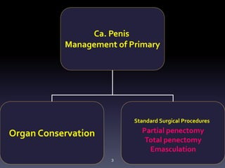 3
Ca. Penis
Management of Primary
Organ Conservation
Standard Surgical Procedures
Partial penectomy
Total penectomy
Emasculation
 
