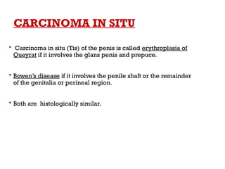 CARCINOMA IN SITU
 Carcinoma in situ (Tis) of the penis is called erythroplasia of
Queyrat if it involves the glans penis and prepuce.
 Bowen’s disease if it involves the penile shaft or the remainder
of the genitalia or perineal region.
 Both are histologically similar.
 