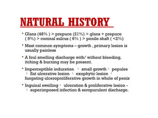 NATURAL HISTORY
 Glans (48% ) > prepuce (21%) > glans + prepuce
( 9%) > coronal sulcus ( 6% ) > penile shaft ( <2%)
 Most common symptoms – growth , primary lesion is
usually painless
 A foul smelling discharge with/ without bleeding,
itching & burning may be present.
 Imperceptible induration  small growth pepules
 flat ulcerative lesion  exophytic lesion 
fungating ulceroproliferative growth in whole of penis
 Inguinal swelling ulceration & proliferative lesion -
 superimposed infection & seropurulent discharge.
 