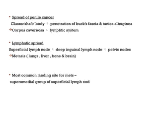  Spread of penile cancer
Glasns/shaft/ body  penetration of buck’s fascia & tunica albuginea
Corpus cavernosa  lymphtic system
 Lymphatic spread
Superficial lymph node  deep inguinal lymph node  pelvic nodes
Metasis ( lungs , liver , bone & brain)
 Most common landing site for mets –
superomedial group of superficial lymph nod
 