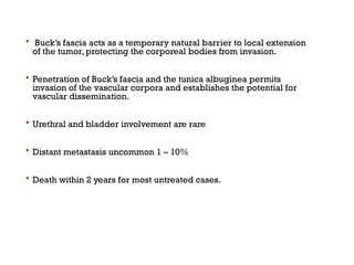  Buck’s fascia acts as a temporary natural barrier to local extension
of the tumor, protecting the corporeal bodies from invasion.
 Penetration of Buck’s fascia and the tunica albuginea permits
invasion of the vascular corpora and establishes the potential for
vascular dissemination.
 Urethral and bladder involvement are rare
 Distant metastasis uncommon 1 – 10%
 Death within 2 years for most untreated cases.
 