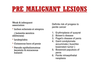 PRE MALIGNANT LESIONS
Weak & infrequent
association
 Lichen sclerosis et atropica
( balanitis xerotica
obliterans)
 Leukoplakia
 Cutaneous horn of penis
 Pseudo epitheliomatous
keratotic & micaceous
balaniti
Definite risk of progess to
penile cancer
1. Erythroplasia of quayrat
2. Bowen’s disease
3. Paget’s disease of penis
4. Gaint condylomata
accuminata ( buschke
lowenstein tumor )
5. Bowenoid papulosis of
penis
6. Penile intraepithelial
neoplasia
 