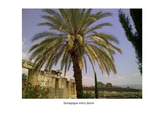 Synagogue entry doors