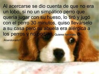 Al acercarse se dio cuenta de que no era
un lobo, si no un simpático perro que
quería jugar con su hueso, lo tiró y jugó
con el perro 30 minutos, quiso llevárselo
a su casa pero su abuela era alérgica a
los perros y no podían, Quieres llevártelo o
Abandonarlo?
 