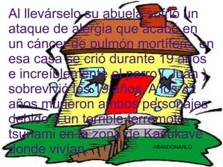 Al llevárselo su abuela sufrió un
ataque de alergia que acabó en
un cáncer de pulmón mortífero, en
esa casa se crió durante 19 años
e increíblemente el perro ( Juan )
sobrevivió los 19 años. A los 32
años murieron ambos personajes
debido a un terrible terremoto-
tsunami en la zona de Kasukave
donde vivían.          ABANDONARLO
 