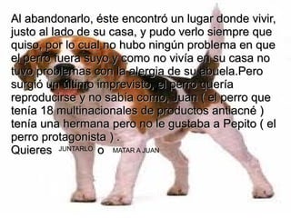 Al abandonarlo, éste encontró un lugar donde vivir,
justo al lado de su casa, y pudo verlo siempre que
quiso, por lo cual no hubo ningún problema en que
el perro fuera suyo y como no vivía en su casa no
tuvo problemas con la alergia de su abuela.Pero
surgió un último imprevisto, el perro quería
reproducirse y no sabía como, Juan ( el perro que
tenía 18 multinacionales de productos antiacné )
tenía una hermana pero no le gustaba a Pepito ( el
perro protagonista ) .
Quieres JUNTARLO o MATAR A JUAN
 