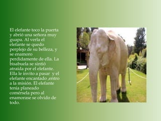 El elefante toco la puerta y abrió una señora muy guapa. Al verla el elefante se quedo perplejo de su belleza, y se enamoro perdidamente de ella. La bisabuela se sintió atraída por el elefante. Ella le invito a pasar  y el elefante encantado ,entro a la misión. El elefante tenia planeado comérsela pero al enamorase se olvido de todo.