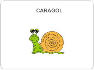 CARAGOL
 