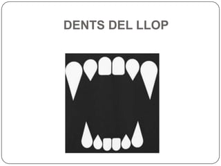 DENTS DEL LLOP
 