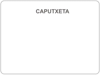 CAPUTXETA
 