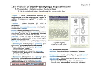 Diapositive 10
I. Les ‘végétaux’, un ensemble polyphylétique d’organismes variés
B. Reproduction végétale : notions fondamentales
2. Structures impliquées dans les cycles de reproduction
 Spore = cellule généralement haploïde qui
constitue une forme de dispersion de l’espèce et
subit un développement végétatif (= au moins une
mitose).
 Gamète : cellule haploïde qui subit la
fécondation.
Gamète mâle : spermatozoïde (spermatie, si non flagellé)
Gamète femelle : oosphère
Isogamie : gamètes semblables morphologiquement
Anisogamie : gamètes dissemblables (oogamie : dissemblance
morphologique importante, avec un gamète femelle volumineux
et chargé de réserves, et un gamète mâle plus petit).
Zoïdogamie : qualifie un mode de fécondation chez les
Embryophytes où le gamète mâle est une cellule flagellée
nageuse (Bryophytes, Filicophytes…)
Siphonogamie : fécondation par tube pollinique (Spermaphytes)
 Gamétocyste [‘thallophytes’] ou gamétange [Em-
bryophytes] : structure renfermant les gamètes.
- Paroi uni-stratifiée chez les ‘thallophytes’ = gamétocyste
Gamétocyste femelle : Oocyste
Gamétocyste mâle : Spermatocyste
- Paroi pluristratifiée chez les Embryophytes = gamétange
Gamétange femelle : Archégone (>> d’où Archégoniates)
Gamétange mâle : Anthéridie
 Sporocyste [‘thallophytes’] ou sporange [Em-
bryophytes] : structure renfermant les spores.
- Paroi uni-stratifiée chez les ‘thallophytes’ = sporocyste
- Paroi pluristratifiée chez les Embryophytes = sporange
-Anges et -cystes
D’après MEYER et al. (2008)
À nuancer chez les Fougères : Existence de leptosporanges (avec une
assise cellulaire uni-stratifiée) et d’eusporanges (assise pluristratifiée)
Sore : groupement de sporanges.
Sporophylle : feuille fertile qui porte un ou plusieurs sporanges.
Homosporangie : il n’existe qu’un seul type de spores (isosporie =
homosporie) et de sporanges.
Hétérosporangie : il existe deux types de spores (anisosporie =
hétérosporie) et de sporanges.
Sporange mâle : Microsporange | Spore mâle : microscpore
Sporange femelle : Macrosporange | spore femelle : macrospore
 