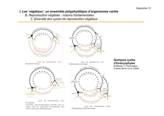 Diapositive 12
I. Les ‘végétaux’, un ensemble polyphylétique d’organismes variés
B. Reproduction végétale : notions fondamentales
3. Diversité des cycles de reproduction végétaux
Quelques cycles
d’Embryophytes
M Méiose / F Fécondation
D’après MEYER et al. (2008)
 