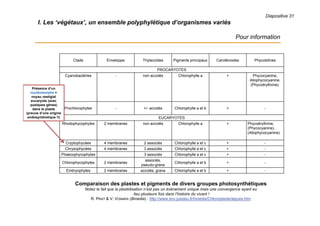 Diapositive 31
I. Les ‘végétaux’, un ensemble polyphylétique d’organismes variés
Pour information
Clade Enveloppe Thylacoïdes Pigments principaux Carotènoides Phycobilines
PROCARYOTES
Cyanobactéries - non accolés Chlorophylle a + Phycocyanine,
Allophycocyanine,
(Phycoérythrine).
Prochlorophytes - +/- accolés Chlorophylle a et b + -
EUCARYOTES
Rhodophycophytes 2 membranes non accolés Chlorophylle a + Phycoérythrine,
(Phycocyanine),
(Allophycocyanine).
Cryptophycées 4 membranes 2 associés Chlorophylle a et c + -
Chrysophycées 4 membranes 3 associés Chlorophylle a et c + -
Phaecophycophytes 3 associés Chlorophylle a et c + -
Chlorophycophytes 2 membranes
associés,
pseudo-grana
Chlorophylle a et b + -
Embryophytes 2 membranes accolés, grana Chlorophylle a et b + -
Comparaison des plastes et pigments de divers groupes photosynthétiques
Notez le fait que la plastidisation n’est pas un événement unique mais une convergence ayant eu
lieu plusieurs fois dans l’histoire du vivant !
R. PRAT & V. VONARX (Bmedia) : http://www.snv.jussieu.fr/bmedia/Chloroplaste/algues.htm
Présence d’un
nucléomorphe =
noyau vestigial
eucaryote (avec
quelques gènes)
dans le plaste
(preuve d’une origine
endosymbiotique !!)
 
