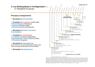 Diapositive 32
II. Les Embryophytes (= Archégoniates = …
A. Phylogénie du groupe
Principaux enseignements
 Monophylie des Embryophytes
 Paraphylie des ‘bryophytes’ traditionnelles
= Marchantiophytes (Hépatiques)
+ Brophytes (Mousses vraies)
+ Anthocérotophytes (Anthocérotes)
 Monophylie des Plantes vasculaires
(Trachéophytes)
 Paraphylie des ‘ptéridophytes’
= Lycophytes (Lycopodes, Sélaginelles)
+ Equisétophytes (= Sphénophytes) (Prêles)
+ Filicophytes (Fougères)
 Monophylie des Gymnopsermes
(LECOINTRE & LE GUYADER 2009 restent prudents mais
cette monophylie semble désormais bien attestée)
 Monophylie des Angiospermes
D’après MEYER et al. (2008)
= Plantes vasculaires
= Moniliformopses
 