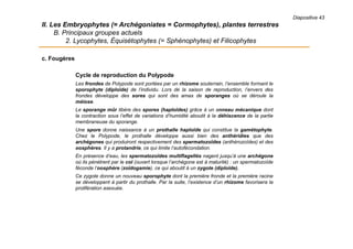 II. Les Embryophytes (= Archégoniates = Cormophytes), plantes terrestres
B. Principaux groupes actuels
2. Lycophytes, Équisétophytes (= Sphénophytes) et Filicophytes
Cycle de reproduction du Polypode
Les frondes de Polypode sont portées par un rhizome souterrain, l’ensemble formant le
sporophyte (diploïde) de l’individu. Lors de la saison de reproduction, l’envers des
frondes développe des sores qui sont des amas de sporanges où se déroule la
méiose.
Le sporange mûr libère des spores (haploïdes) grâce à un anneau mécanique dont
la contraction sous l’effet de variations d’humidité aboutit à la déhiscence de la partie
membraneuse du sporange.
Une spore donne naissance à un prothalle haploïde qui constitue la gamétophyte.
Chez le Polypode, le prothalle développe aussi bien des anthéridies que des
archégones qui produiront respectivement des spermatozoïdes (anthérozoïdes) et des
oosphères. Il y a protandrie, ce qui limite l’autofécondation.
En présence d’eau, les spermatozoïdes multiflagellés nagent jusqu’à une archégone
où ils pénètrent par le col (ouvert lorsque l’archégone est à maturité) : un spermatozoïde
féconde l’oosphère (zoïdogamie), ce qui aboutit à un zygote (diploïde).
Ce zygote donne un nouveau sporophyte dont la première fronde et la première racine
se développent à partir du prothalle. Par la suite, l’existence d’un rhizome favorisera la
prolifération asexuée.
c. Fougères
Diapositive 43
 