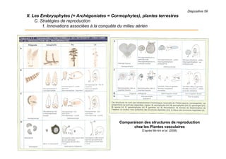 Diapositive 59
II. Les Embryophytes (= Archégoniates = Cormophytes), plantes terrestres
C. Stratégies de reproduction
1. Innovations associées à la conquête du milieu aérien
Comparaison des structures de reproduction
chez les Plantes vasculaires
D’après MEYER et al. (2008)
 