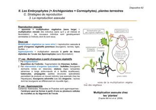 Diapositive 62
II. Les Embryophytes (= Archégoniates = Cormophytes), plantes terrestres
C. Stratégies de reproduction
3. La reproduction asexuée
Reproduction asexuée
= apomixie = multiplication végétative (sens large) =
multiplication clonale des individus (sans qu’il y ait méiose et
fécondation) : les nouveaux individus sont génétiquement
semblables à l’individu dont ils sont issus.
Deux cas
Mutiplication végétative au sens strict = reproduction asexuée à
partir d’organes végétatifs parentaux (bourgeons, racines, tiges,
feuilles…)
Agamospermie = multiplication asexuée à partir de tissus
diploïdes de l’ovule des Spermaphytes (sans fécondation)
1er cas : Multiplication à partir d’organes végétatifs
1. Par fragmentation :
Bipartition de l’individu : fragmentation de rhizomes, bulbes…
2. Par intervention d’organes spécialisés : bulbilles (bourgeons
dormants riches en réserves), stolons (tiges rampantes
aériennes à longs entre-nœuds et à feuilles écailleuses),
tubercules, propagules (petites structures spécialisées
permettent de produire un nouvel individu) (par exemple chez les
Hépatiques), bourgeons adventifs (cas des drageons : racines
dont les bourgeons se différencient en nouvelle tige)…
2e cas : Agamospermie
Certaines Astéracées, Rosacées et Poacées sont agamospermes :
l’embryon peut se former à partir d’une ou plusieurs cellules
du nucelles ou du tégument de l’ovule. Multiplication asexuée chez
les ‘plantes’
D’après MEYER et al. (2008)
 