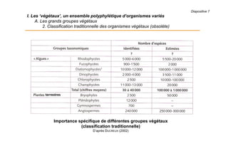 Diapositive 7
I. Les ‘végétaux’, un ensemble polyphylétique d’organismes variés
A. Les grands groupes végétaux
2. Classification traditionnelle des organismes végétaux (obsolète)
Importance spécifique de différentes groupes végétaux
(classification traditionnelle)
D’après DUCREUX (2002)
terrestres
 