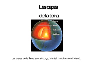Les capes de la Terra són: escorça, mantell i nucli (extern i intern). Les capes  de la terra 