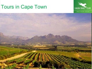 Tours in Cape Town
 