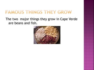 The two major things they grow in Cape Verde
are beans and fish.
 