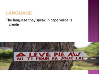 The language they speak in cape verde is
creole
 