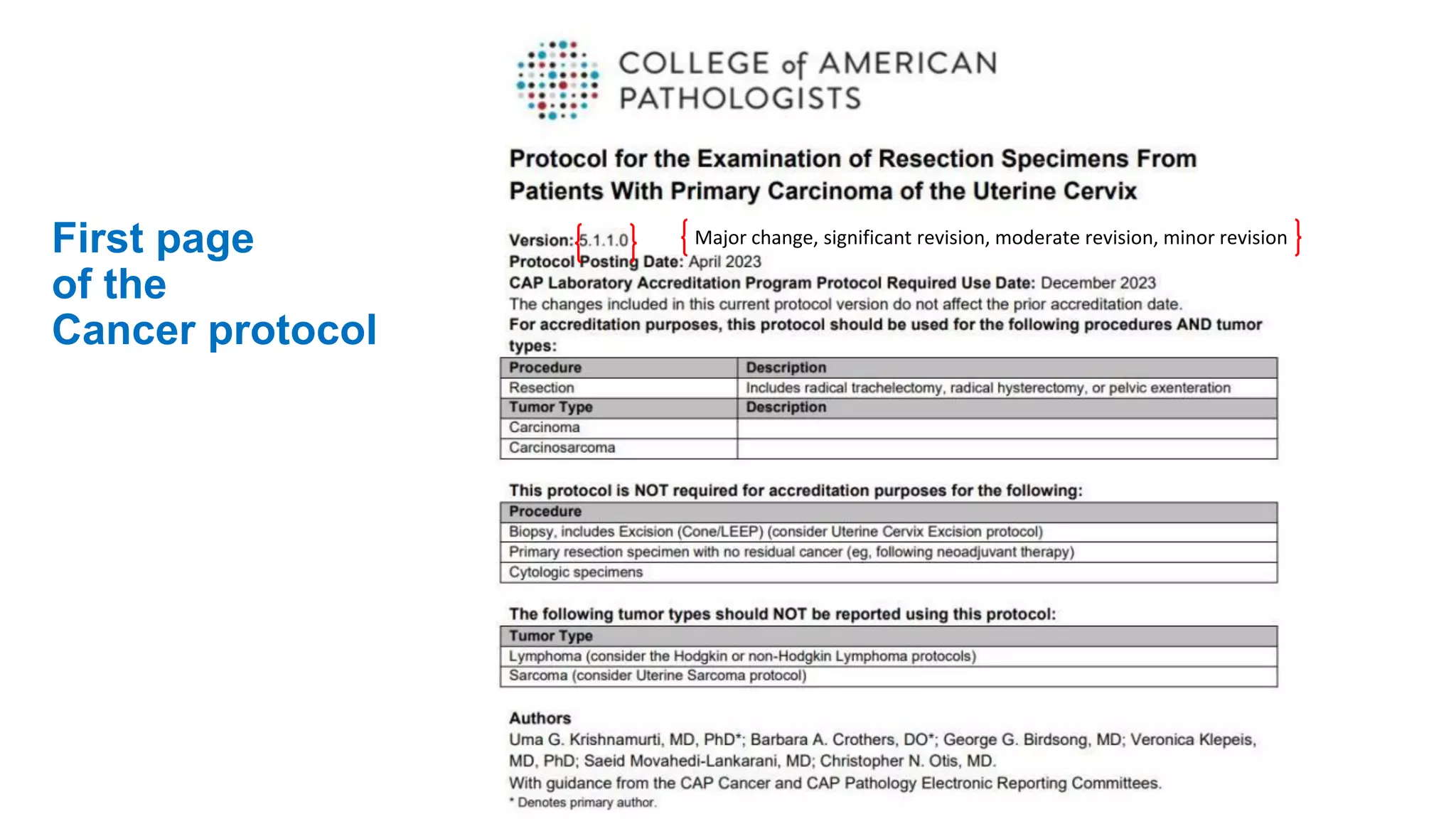 CAP_Foundation_Cancer_Protocols_June2023.pdf
