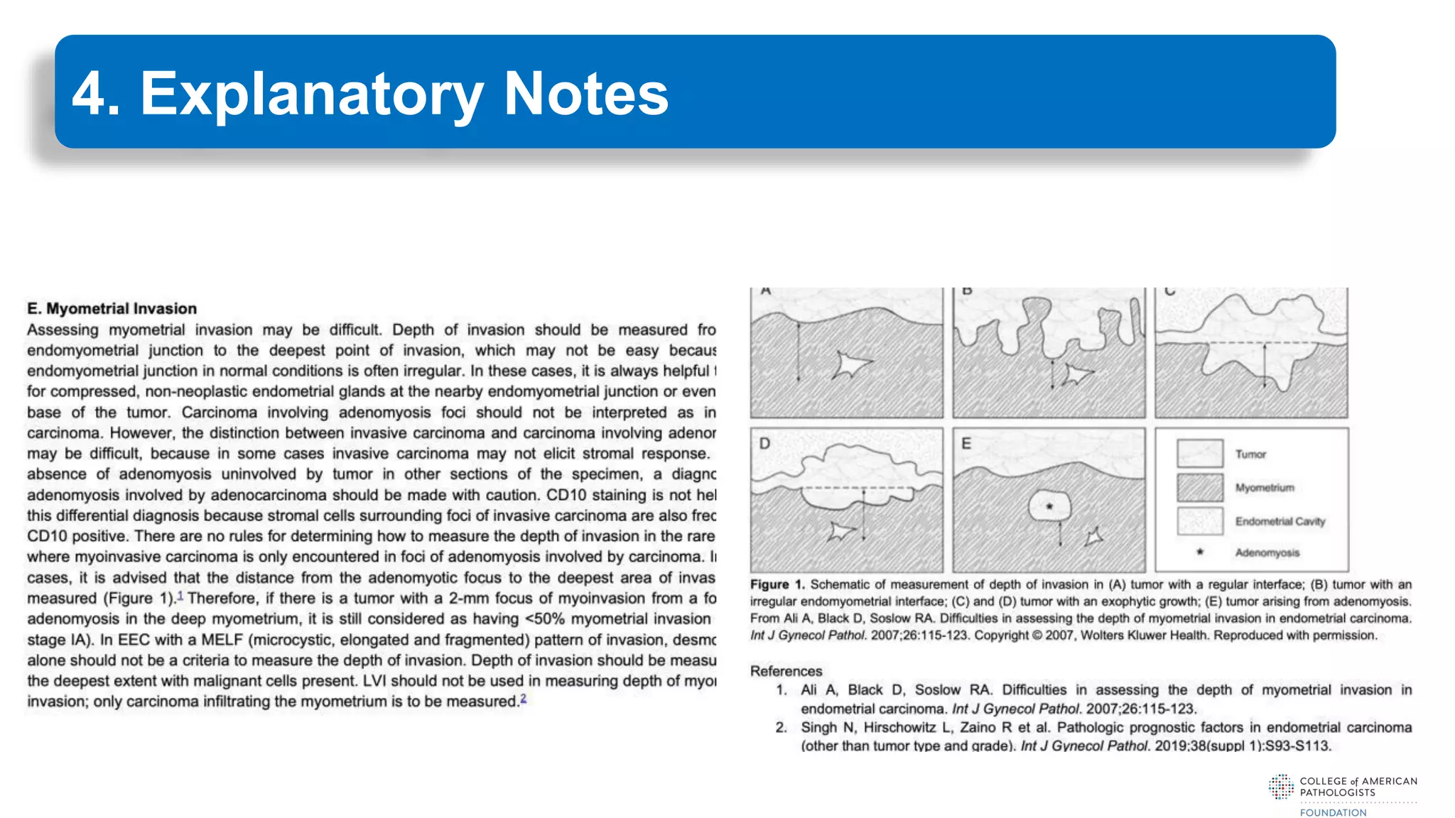4. Explanatory Notes
 