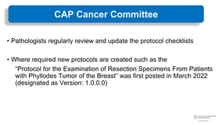 CAP_Foundation_Cancer_Protocols_June2023.pdf | Cancer | Diseases and ...