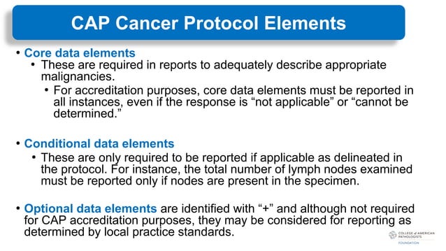 CAP_Foundation_Cancer_Protocols_June2023.pdf | Cancer | Diseases and ...
